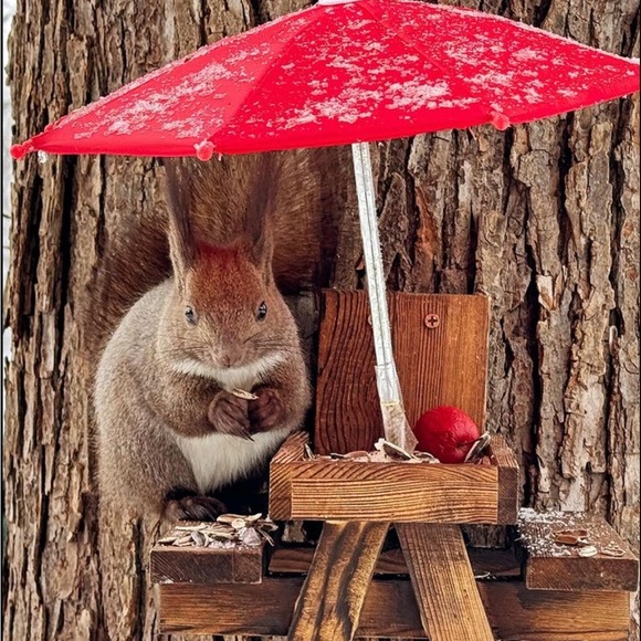 Happy Spring 🐿️⛱️ - Picture 1 of 16